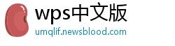 wps中文版